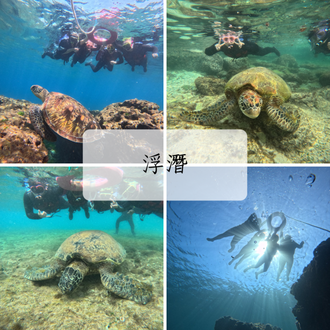 Green White Merry Christmas Four Photos Happy Holidays Collage Instagram Post  (6)