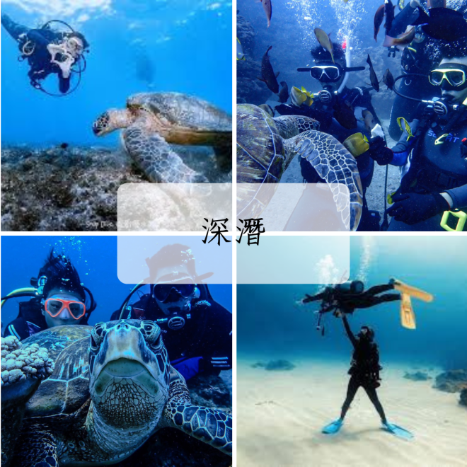 Green White Merry Christmas Four Photos Happy Holidays Collage Instagram Post  (11)