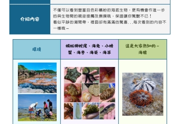 小琉球潮間帶導覽｜今日/明日退潮時間表、梯次與報名（每月更新）｜逗琉民宿