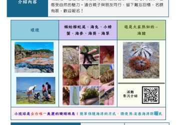 小琉球潮間帶導覽｜今日/明日退潮時間表、梯次與報名（每月更新）｜逗琉民宿