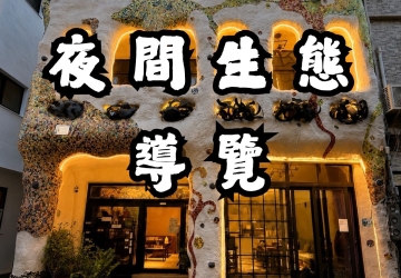 小琉球夜間生態導覽｜逗琉民宿 x 在地路線，熱門夜遊首選