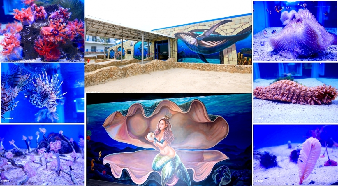 1569942522-352be1355ad9ae96cbb1958850a4be85 1569942522-352be1355ad9ae96cbb1958850a4be85