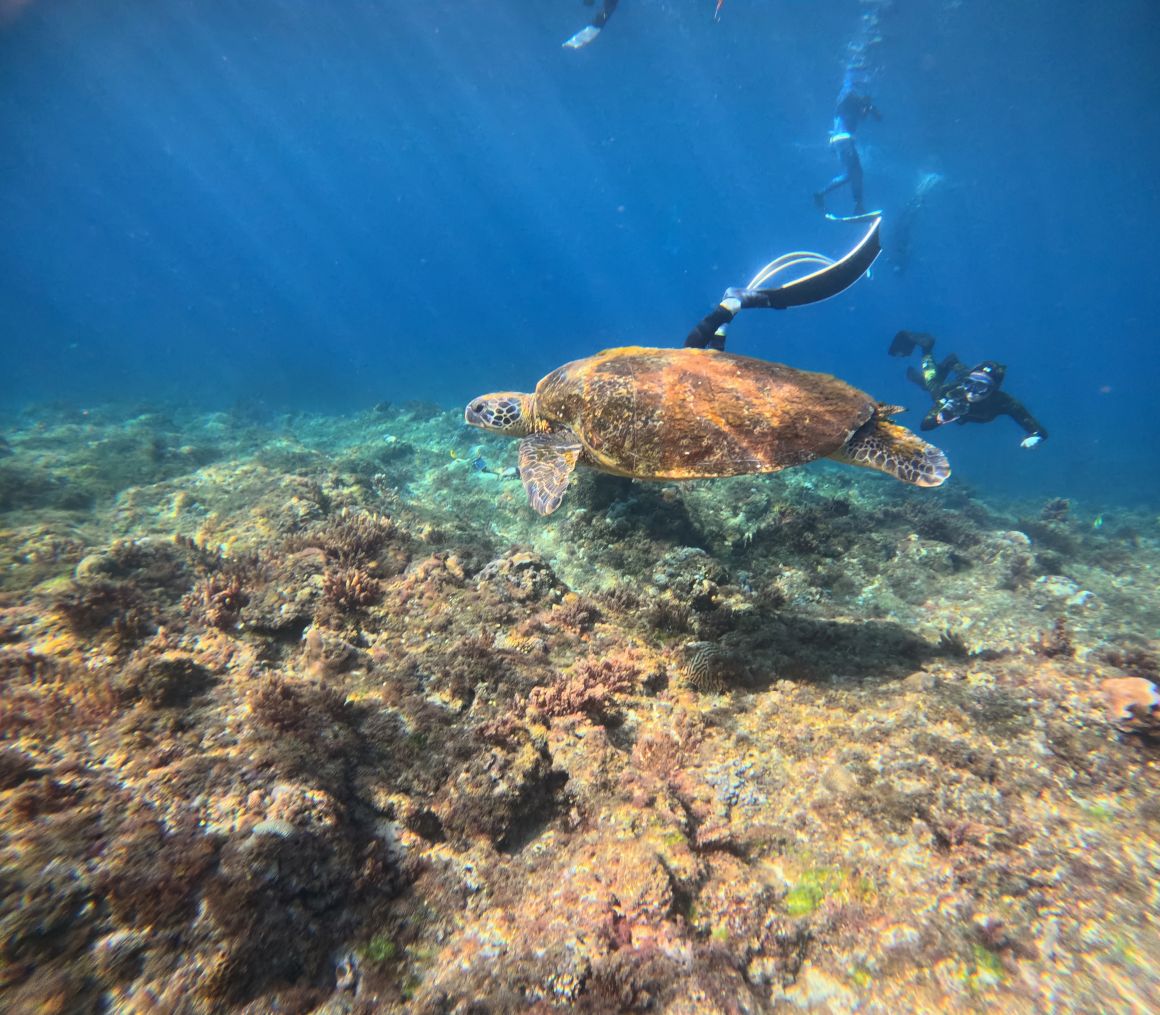 GOPR9676_0 GOPR9676_0