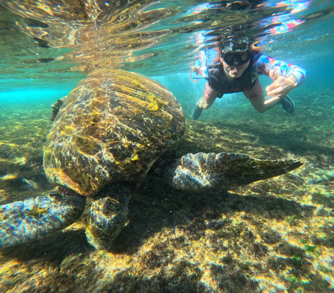 S__53911588_0 S__53911588_0