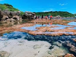 小琉球潮間帶注意事項 小琉球潮間帶注意事項