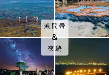 2026年最新小琉球必玩活動推薦｜潮間帶＆夜間生態導覽